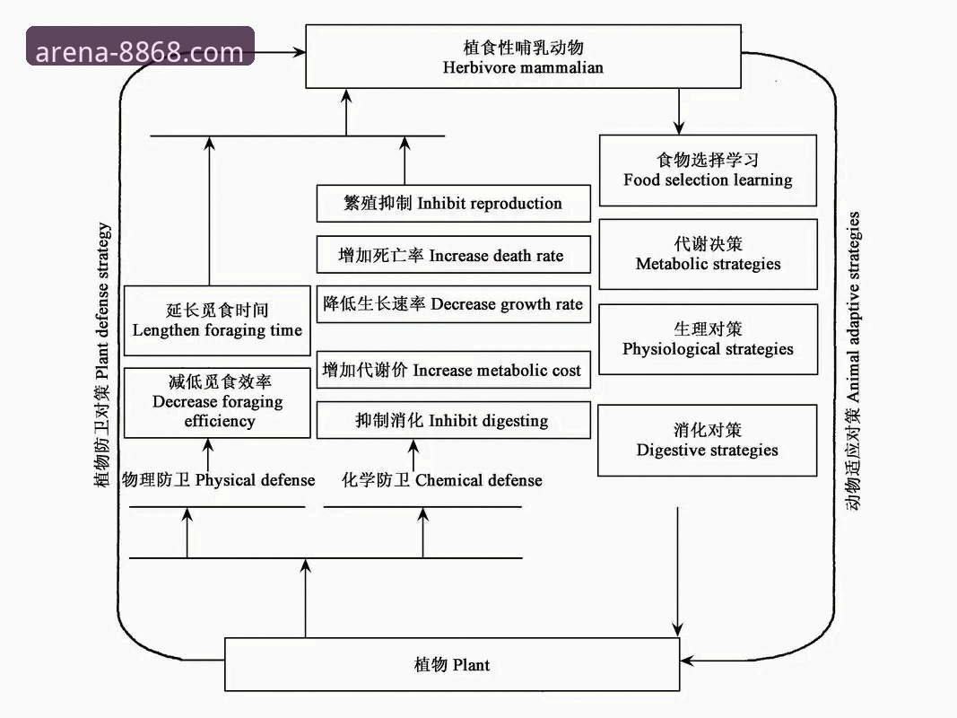 体育注册机制变革深度剖析：从身份验证到生态协同的进化路径